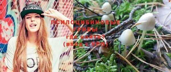 ГАЛЛЮЦИНОГЕННЫЕ ГРИБЫ Белоозёрский