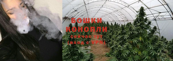 ГАЛЛЮЦИНОГЕННЫЕ ГРИБЫ Белоозёрский