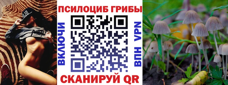 дарнет шоп  Надым  Псилоцибиновые грибы прущие грибы 